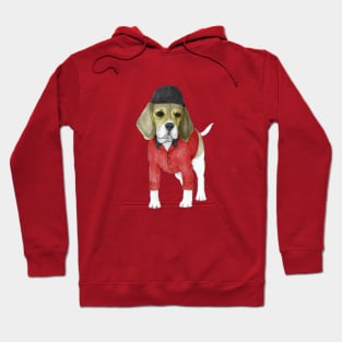 Beagle Hoodie